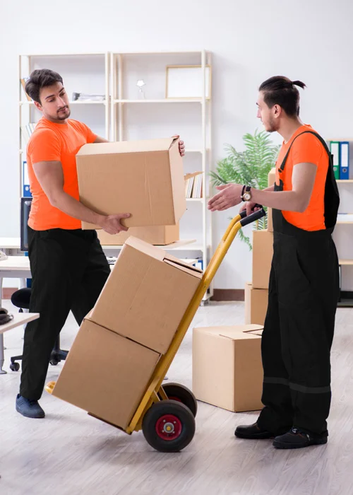  Packers And Movers Melbourne | Packing & Moving Services | Puzzle Movers