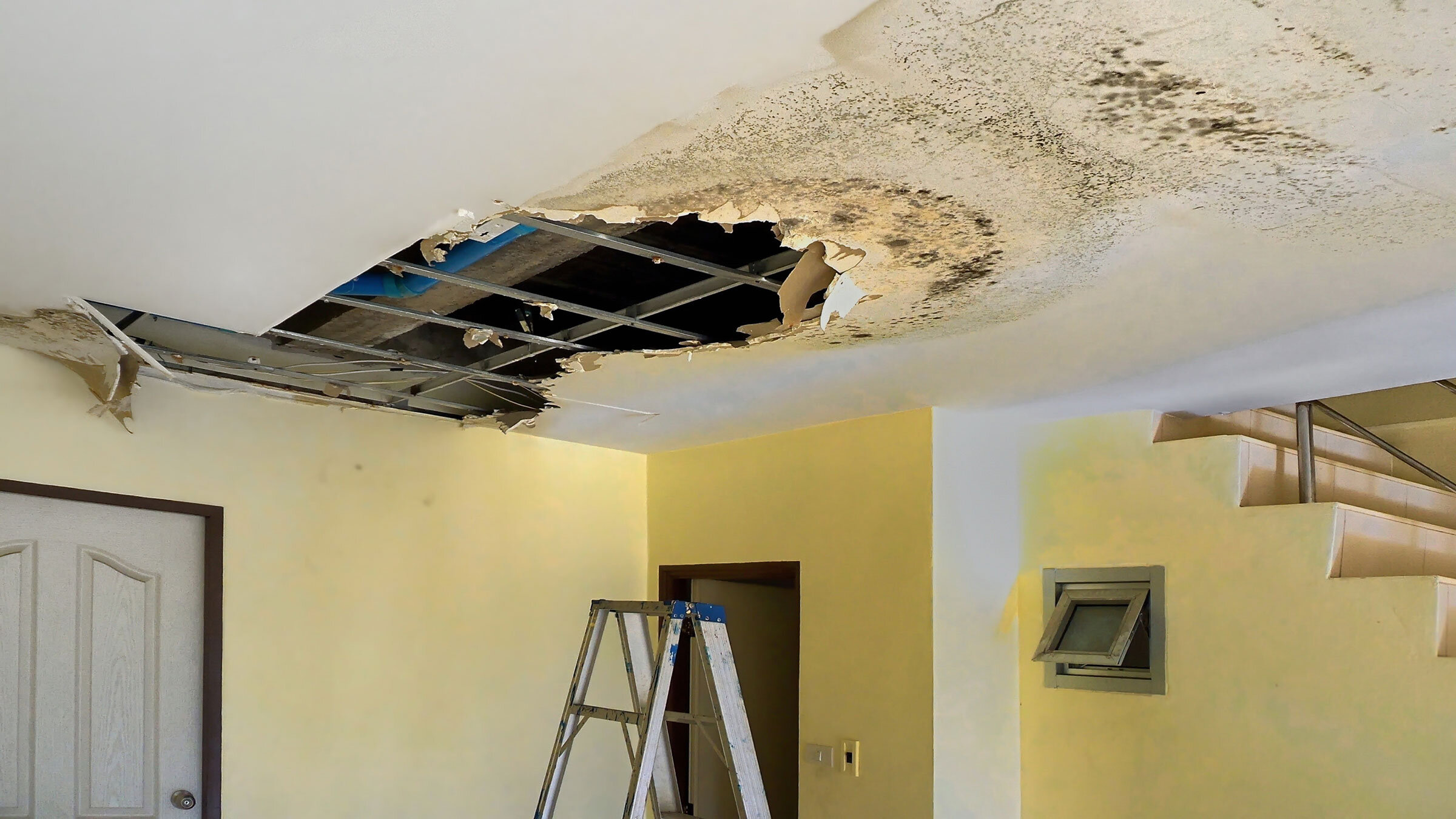  Termite Repair Contractors | Water Damage Repairs Mobile AL