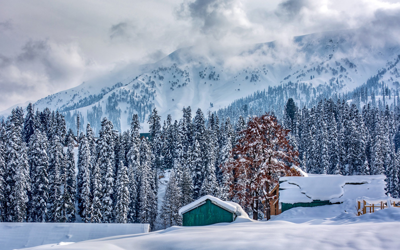  Gulmarg in April: A symphony of adventure and flowers