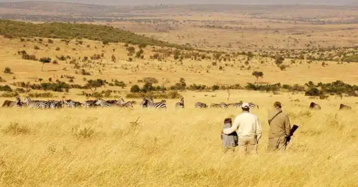  Kenya migration safari