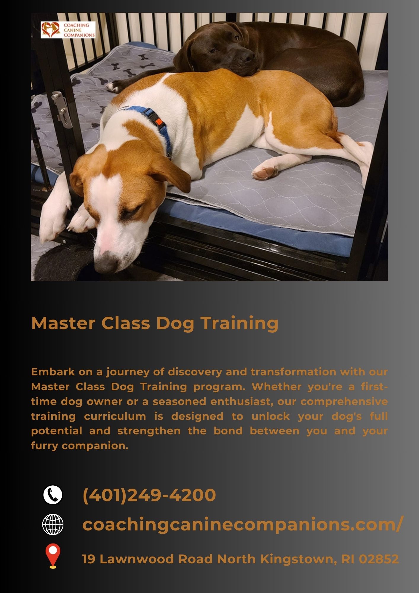  Unleash Your Dog's Potential: Master Class Dog Training