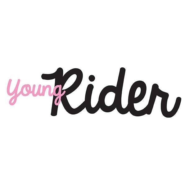  Explore American Quarter Horse Colors | Young Rider