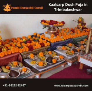  Performing the Kaalsarp Dosh Puja at Trimbakeshwar: A Spiritual Journey for Reversing Negative Effects