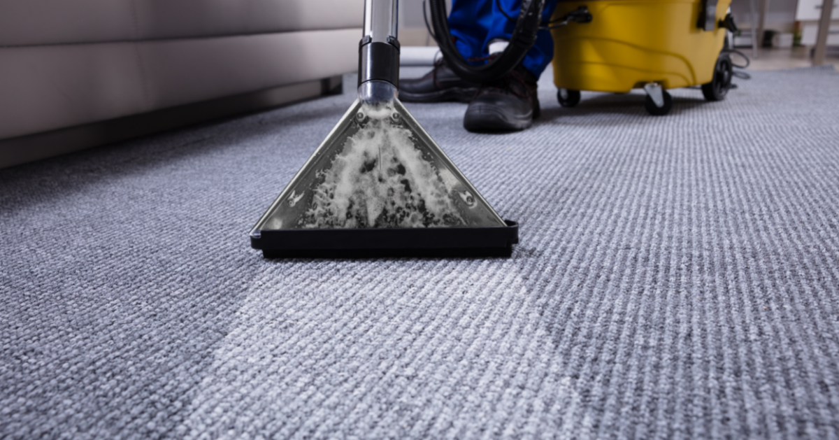  Experience Professional Rug Cleaning NYC with Organic Rug Cleaners