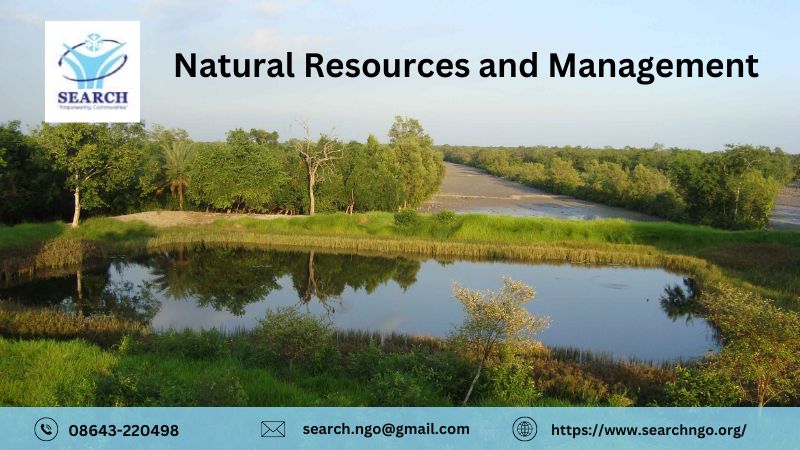  Sustainable Solutions: Search for NGOs in Natural Resource Management