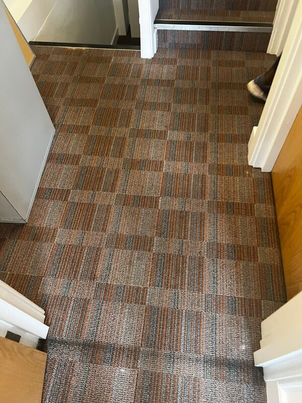  North London’s Leading Carpet Cleaning Professionals!