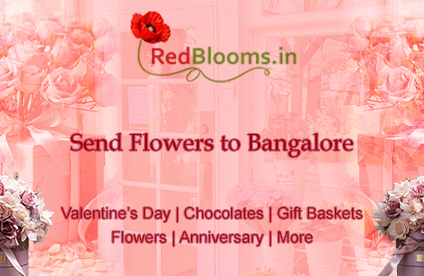  Send Beautiful Flowers to Bangalore - Online Delivery with RedBlooms