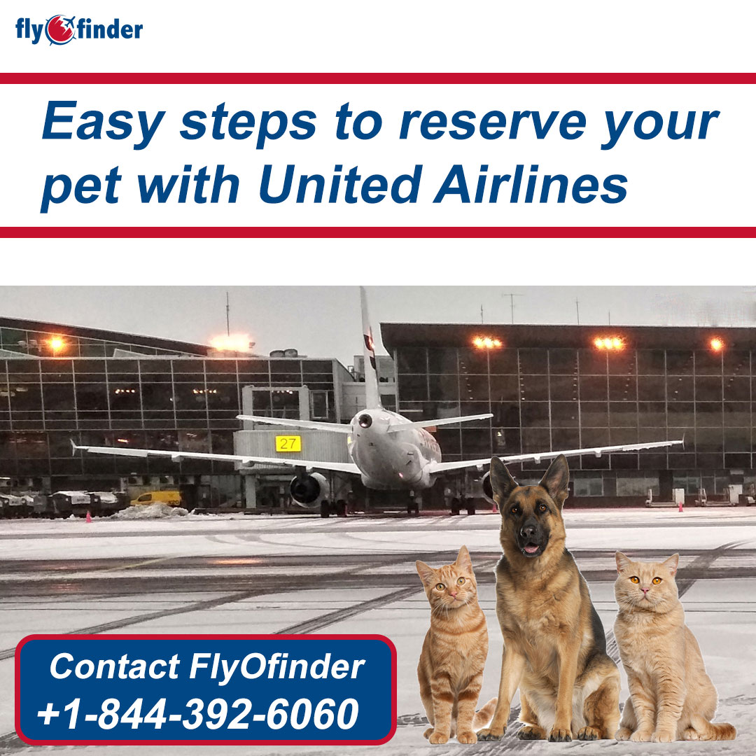  United Airlines Pet Reservations | Flyofinder