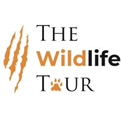  Wild India: Safari Adventures and Wildlife Tours