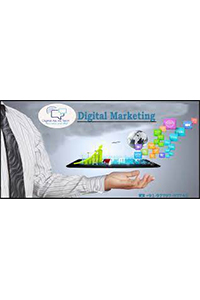  Digital marketing consultant in India
