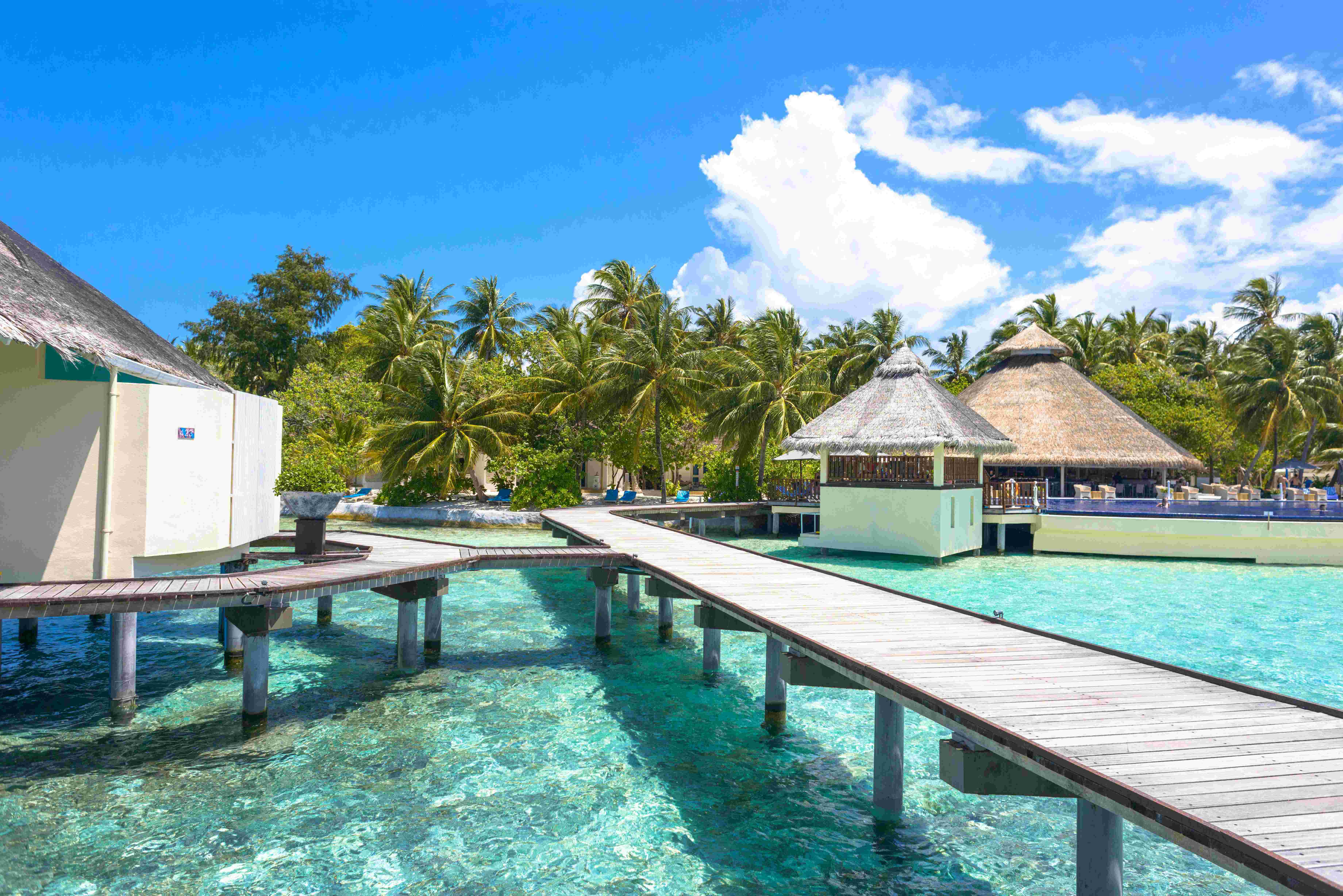  Maldives Tour Packages From India for couples ! UPTO 40% OFF - Viz Travels