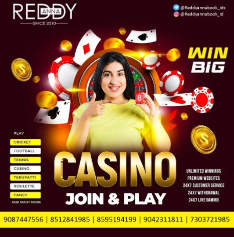  Get Ready for IPL Season with Reddy Anna's Trusted ID Service