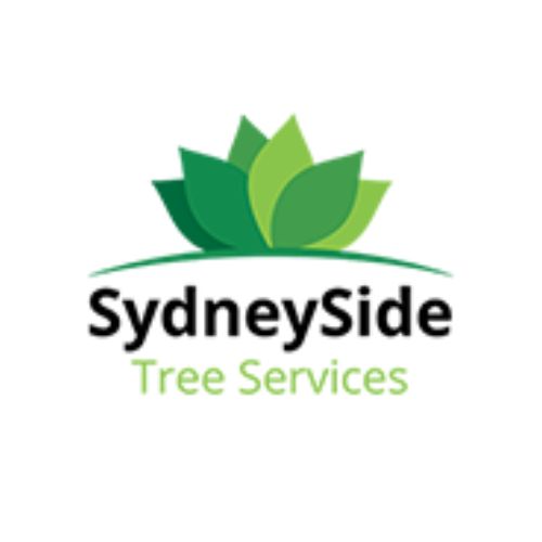  Need Professional & Local Tree Trimmers in Sydney? Call SydneySide Tree Services!