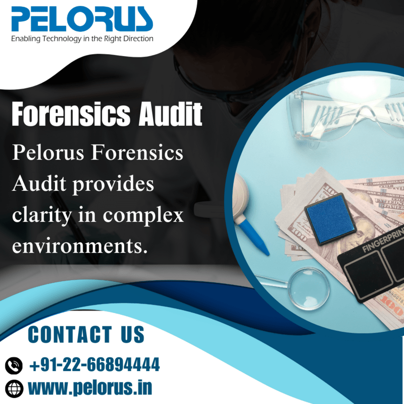  Forensic Consultant | Forensics Audit