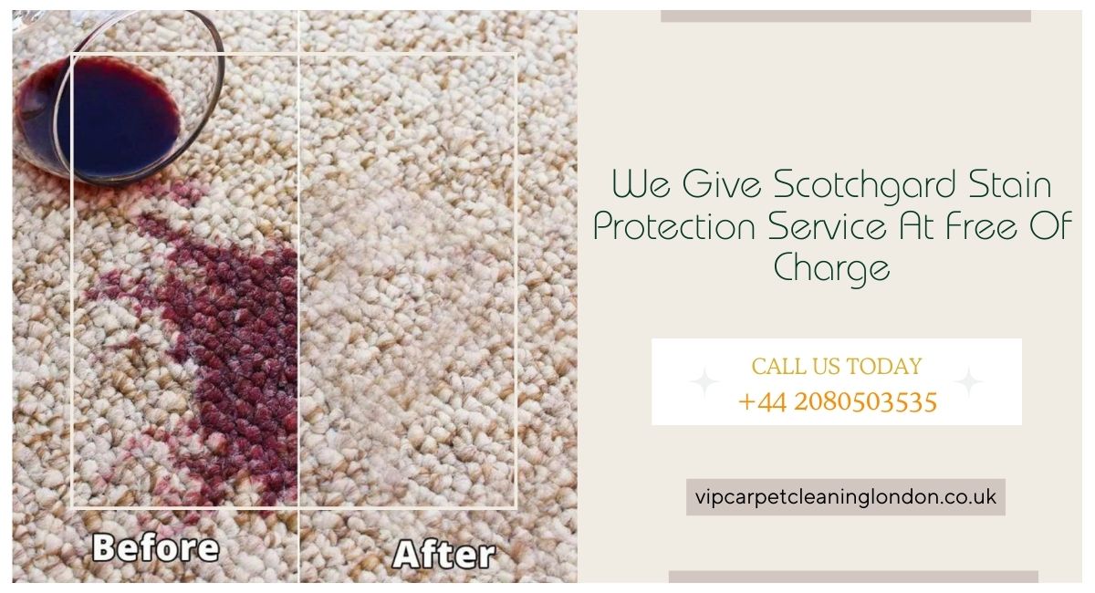  We Give Scotchgard Stain Protection Service At Free Of Charge