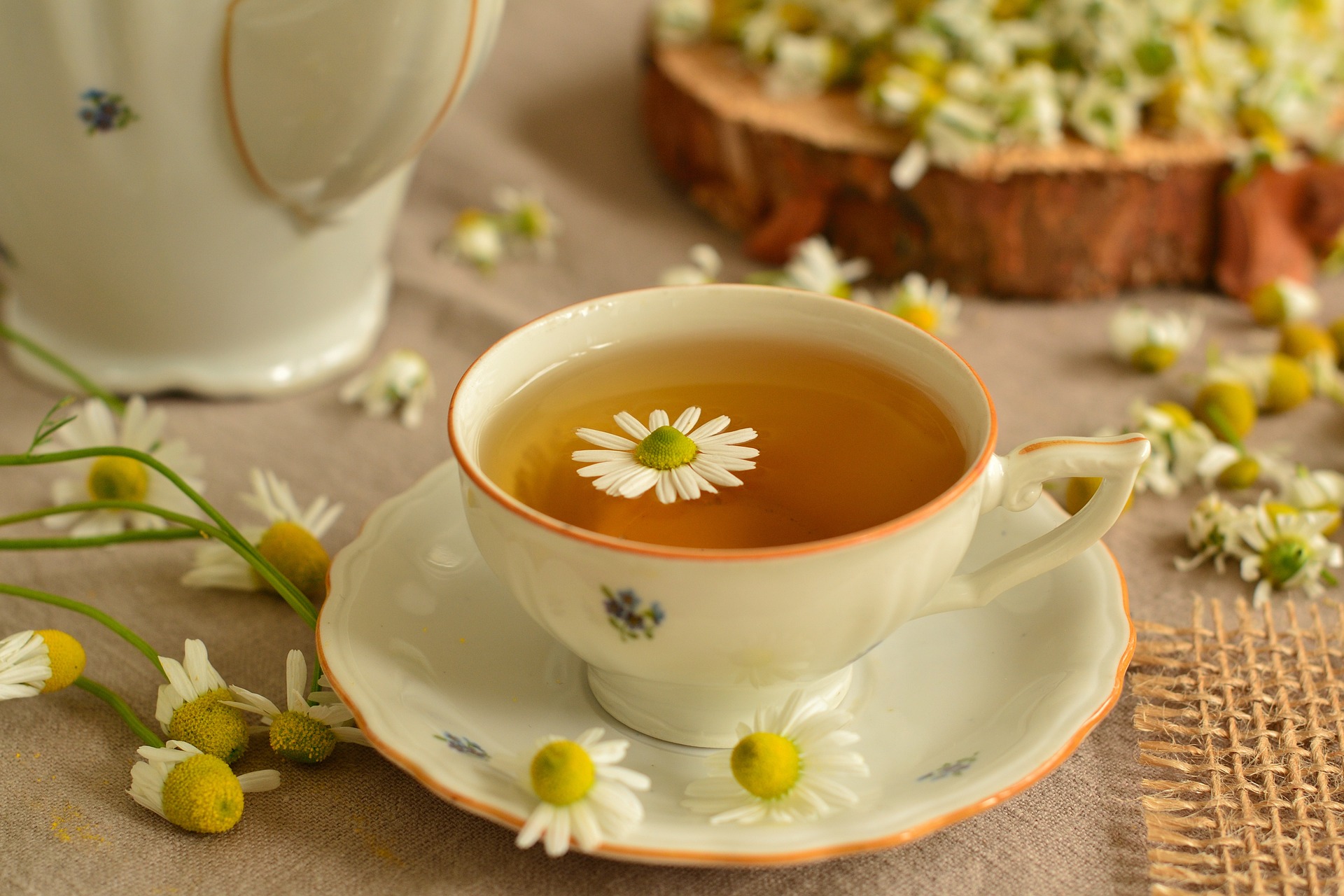  Experience Tranquility with Chamomile Nights Tea
