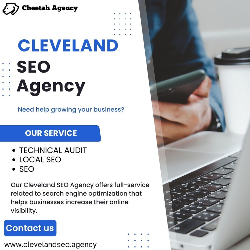  Cleveland SEO Agency - Cheetah