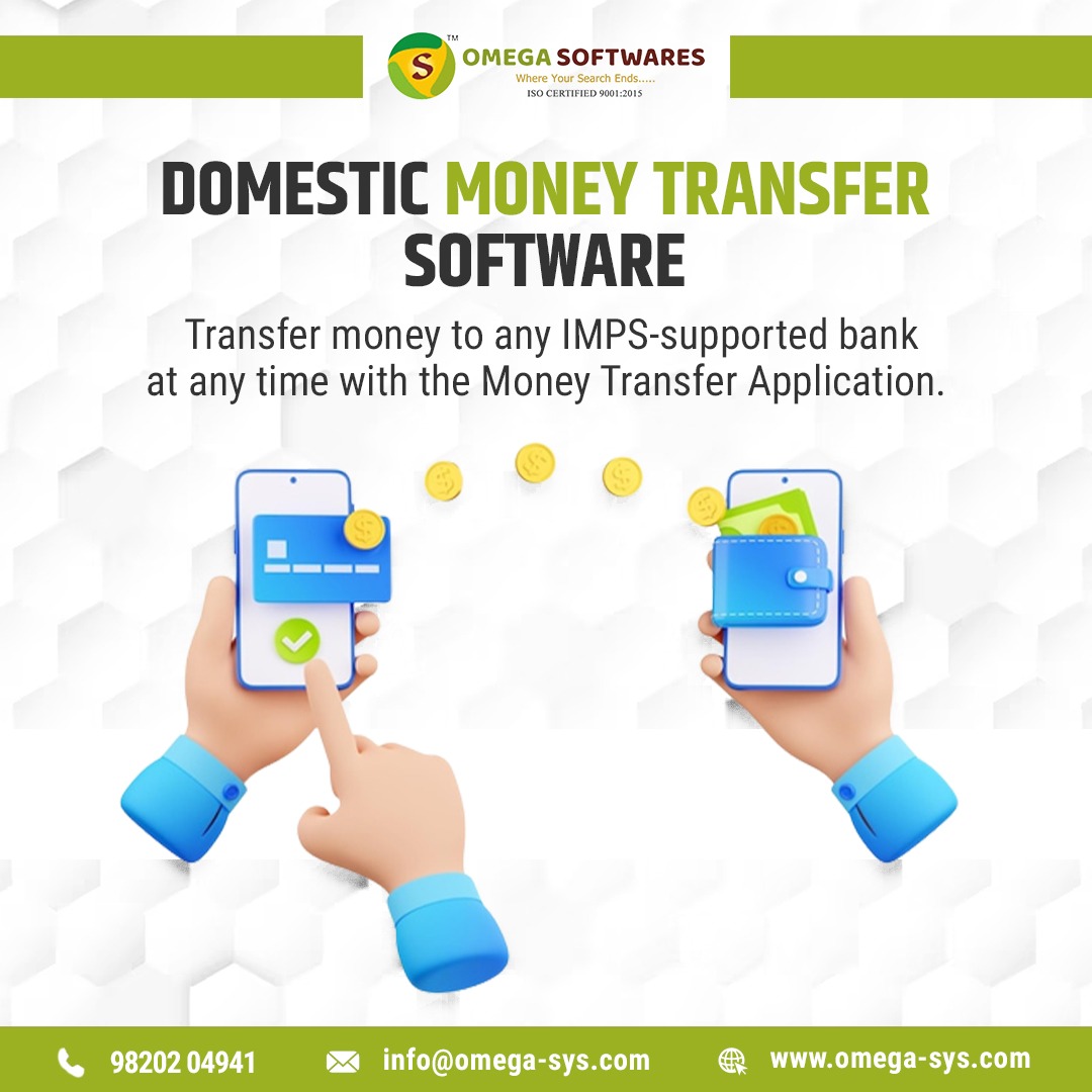  Domestic Money Transfer Software