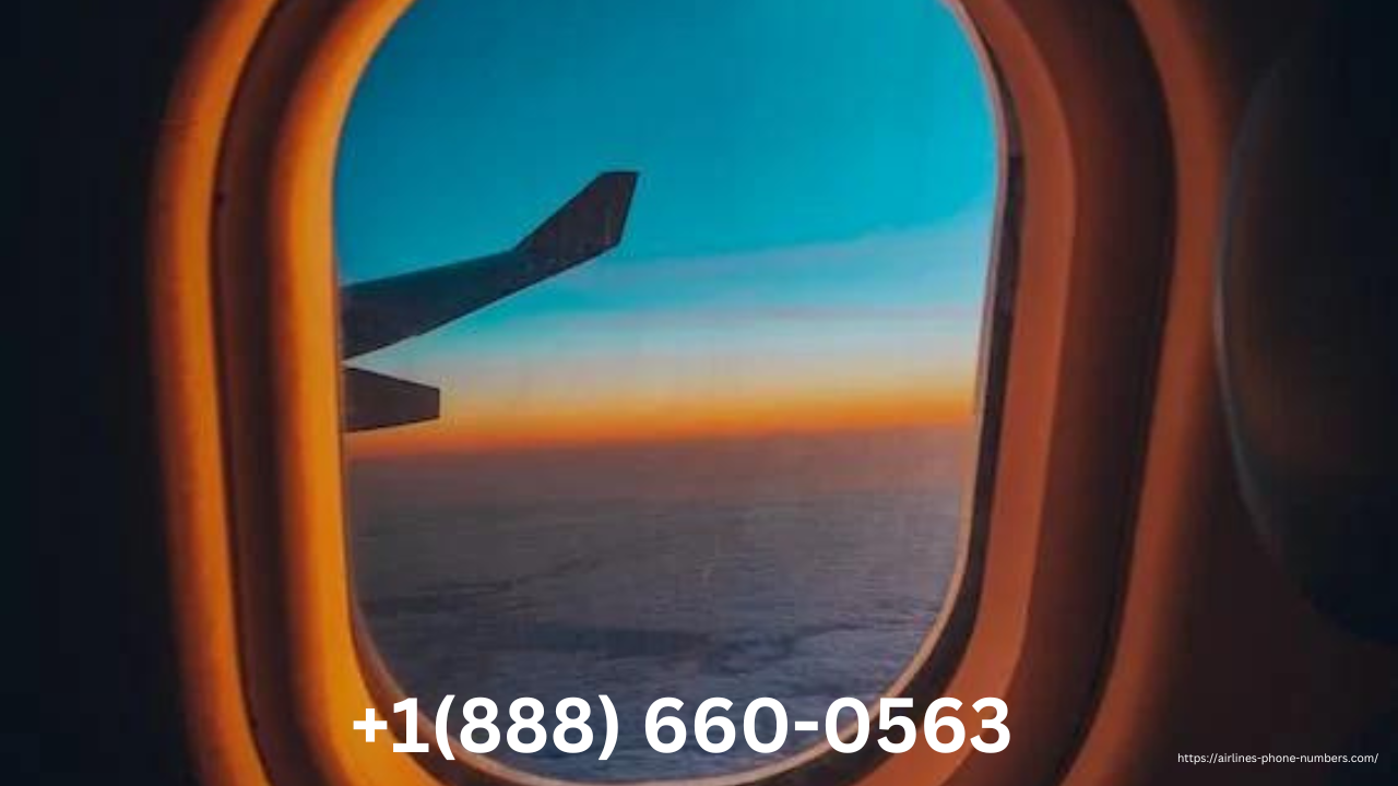  Airlines Phone Number
