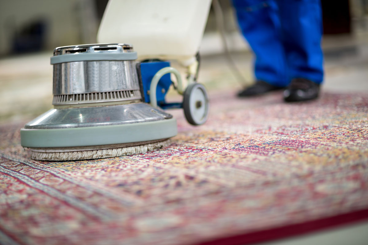  Rons Rug Cleaning Hobart