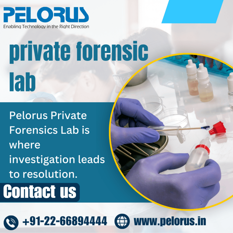  Pelorus | Private forensic lab