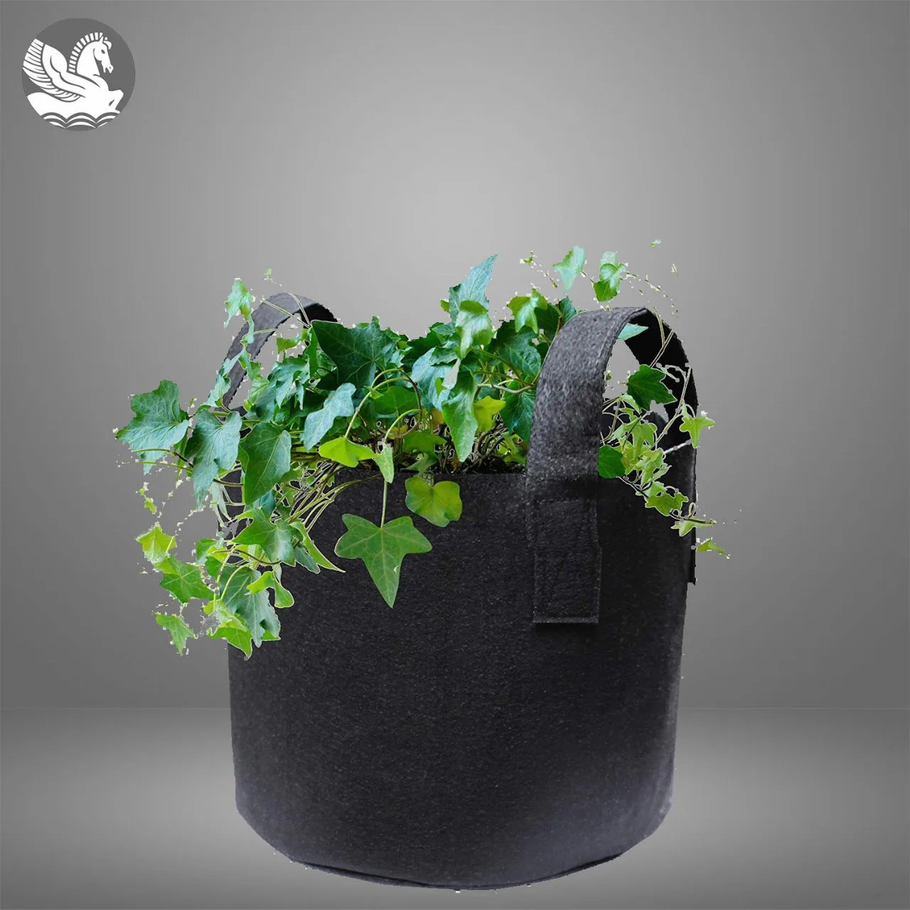  Discover the Versatility of Grow Bags