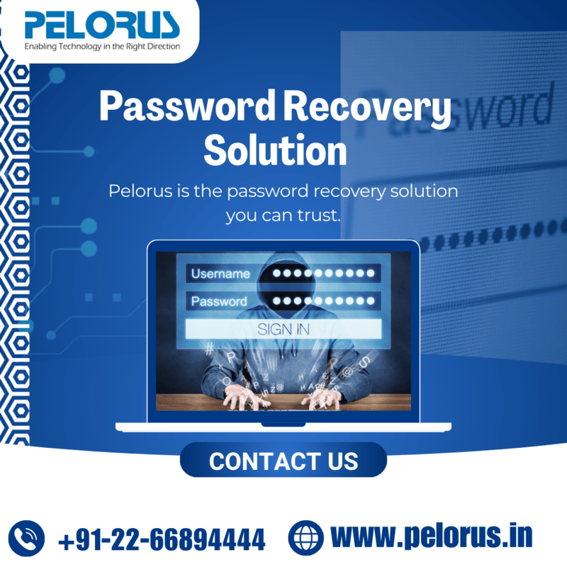  Password Recovery Solution