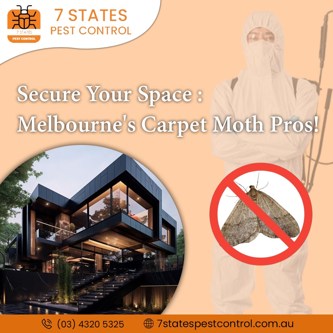  Safeguard Your Home with Expert Carpet Moth Treatment in Melbourne