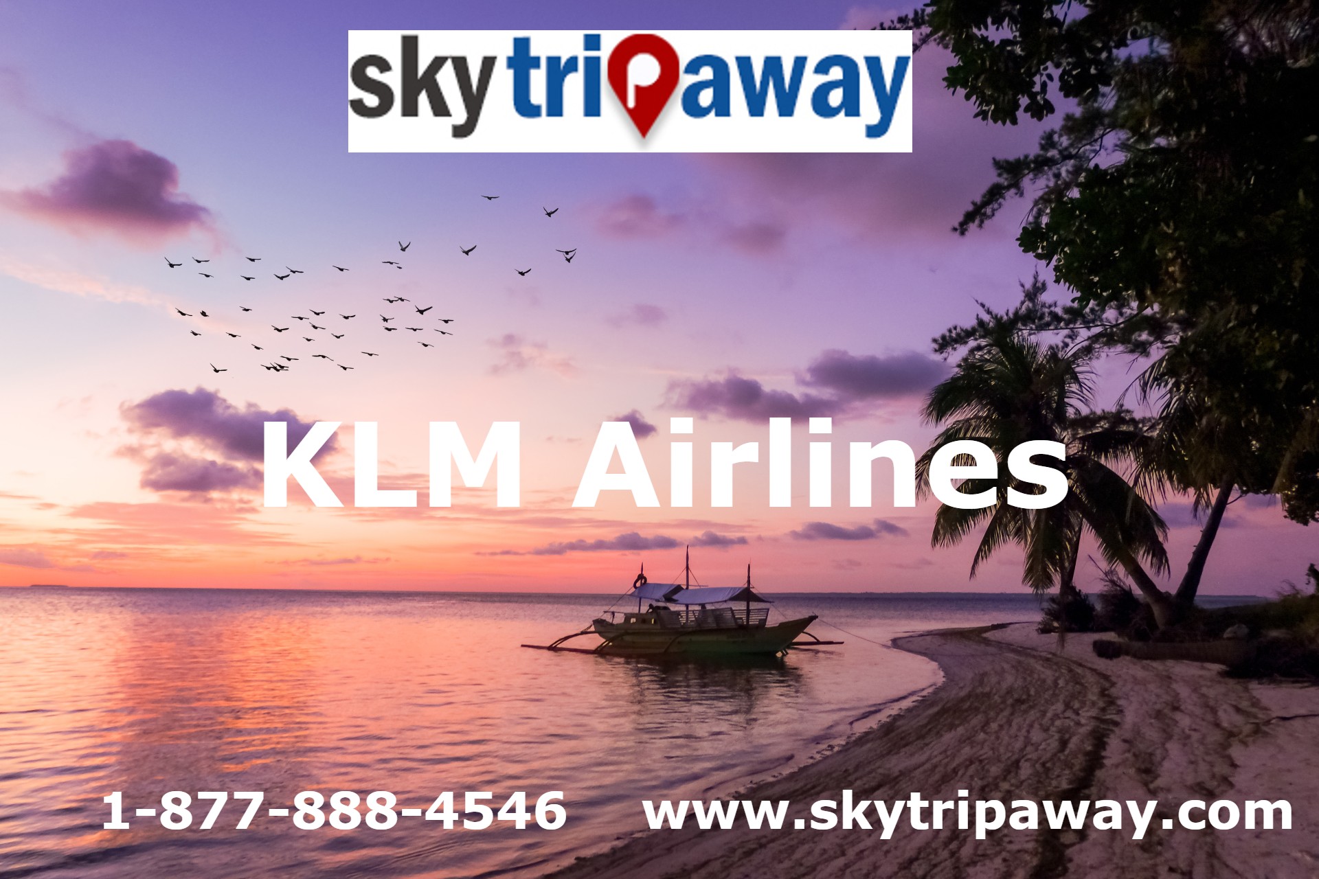  How to book tickets from klm airlines reservations phone number?