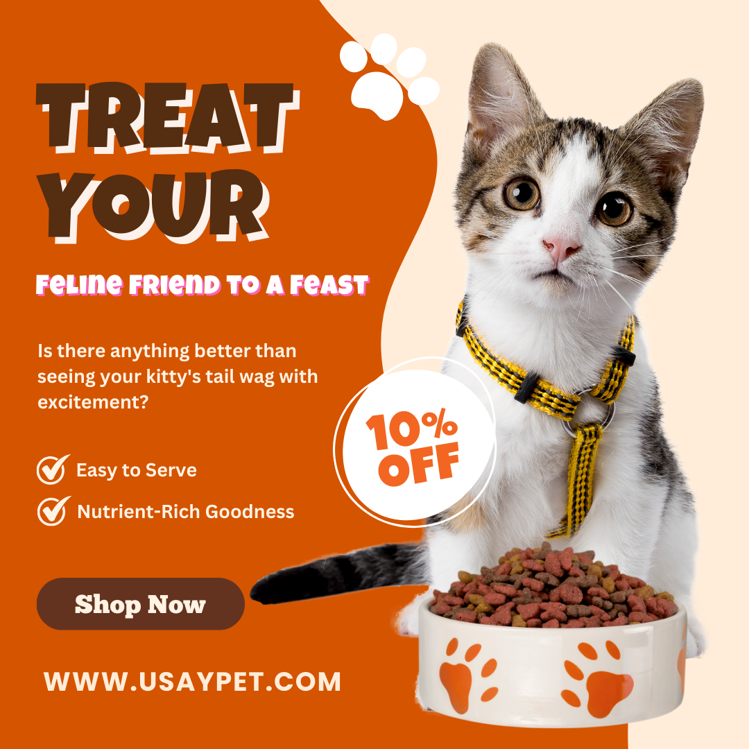 Best Cat Food and Accessories Shop in Dubai - Usaypet