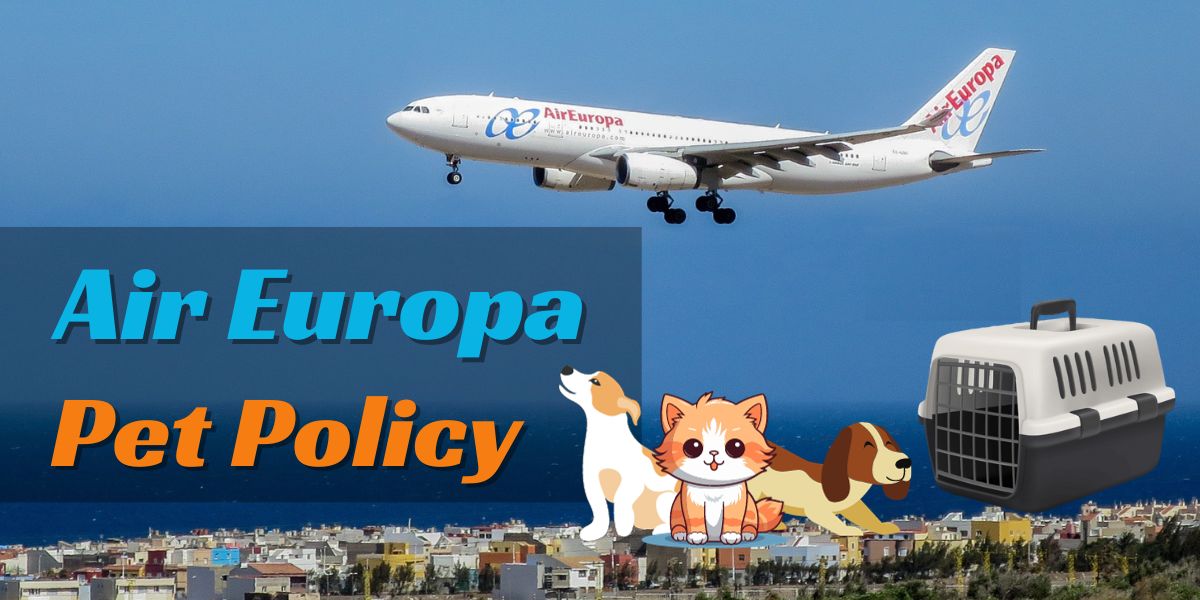  Are you looking for Air Europa's Pet Policy?