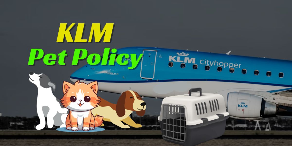  What Measures Does KLM Have for Passengers Traveling with Service Dogs?