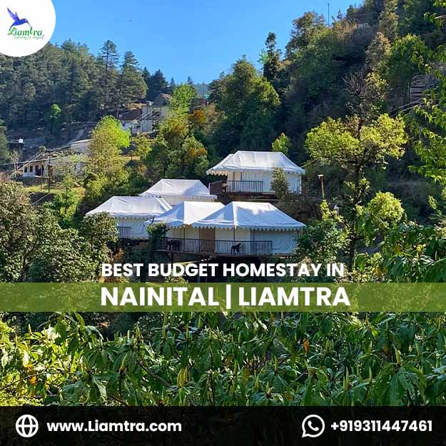  Best budget Homestay in Nainital | Liamtra
