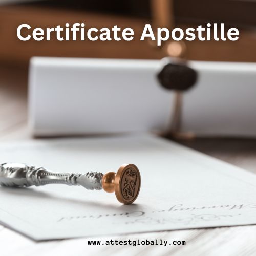  Certificate Apostille | Find Certificate Apostille Services in Oman