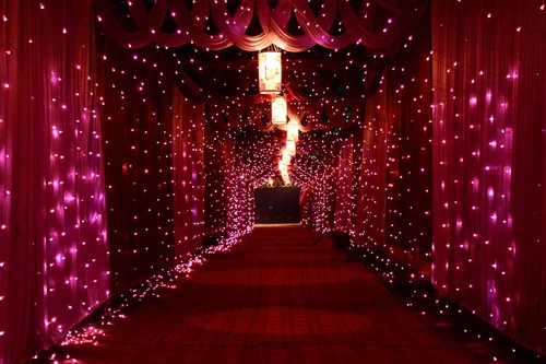  Fairy Light Backdrop Decoration For Weddings in Singapore