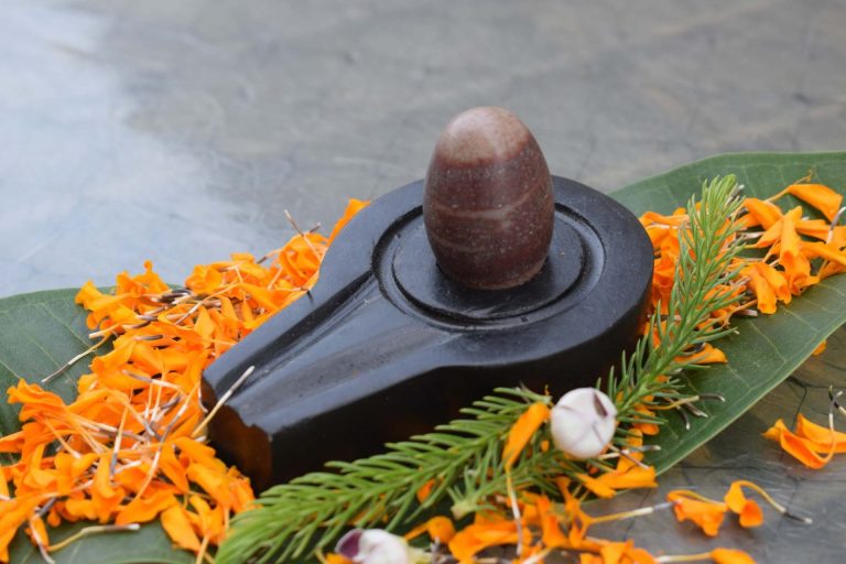  Embrace the Sacred: Discover Our Collection of Original Narmadeshwar Shivling for Home