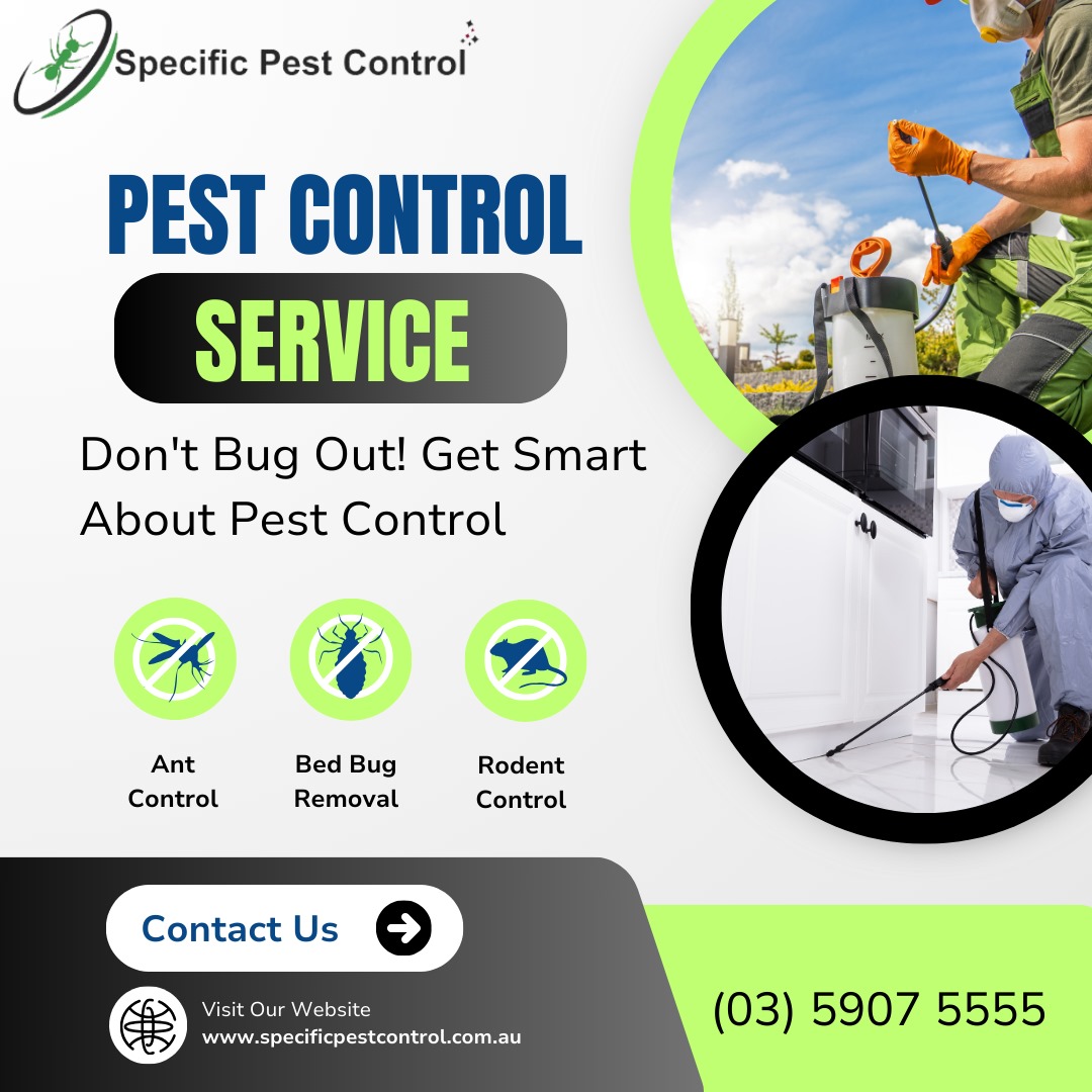  Specific Pest Control's Effective Possum Removal Services in Melbourne