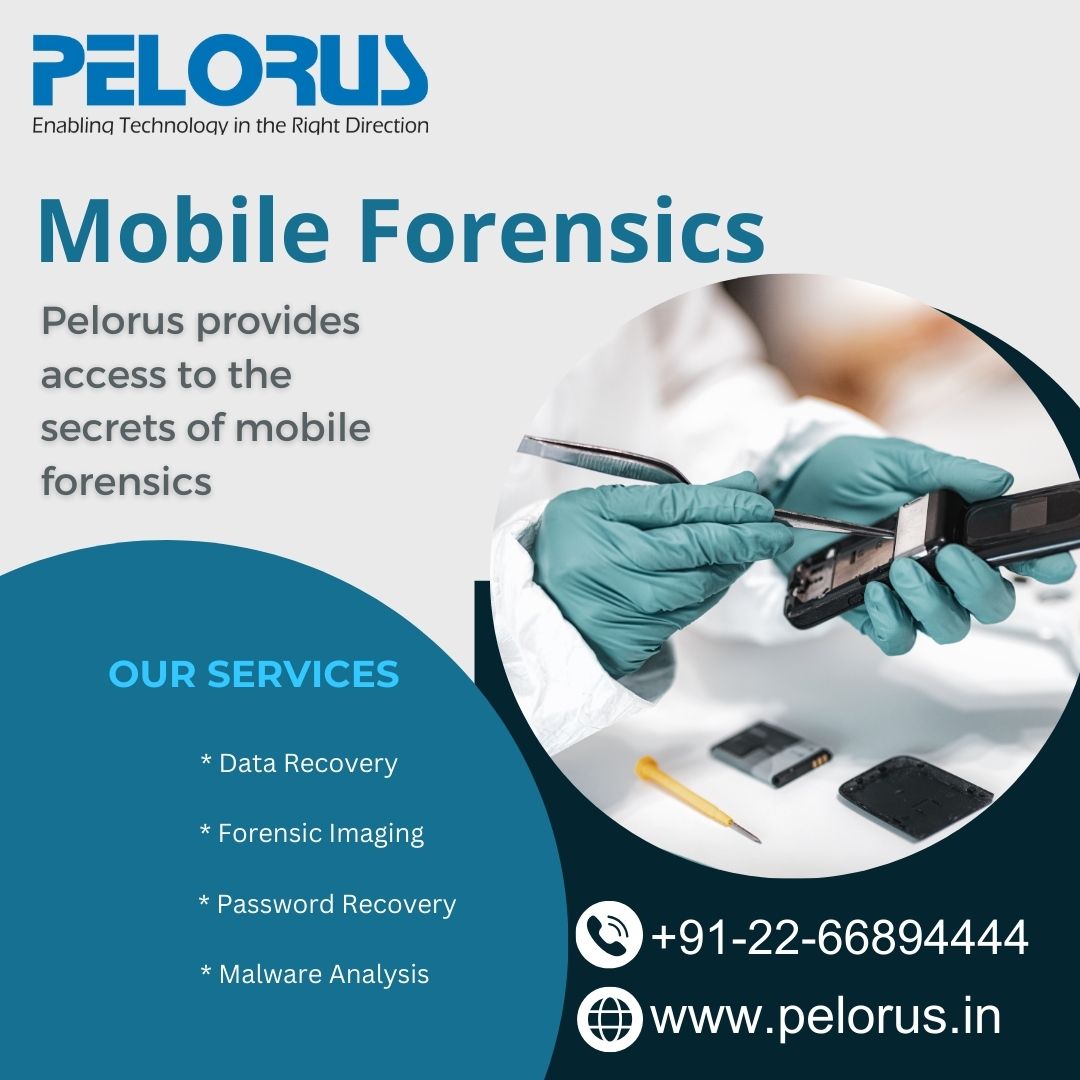  Pelorus|Mobile Forensics